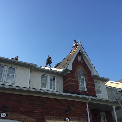 Mint Roofing Townhome Project